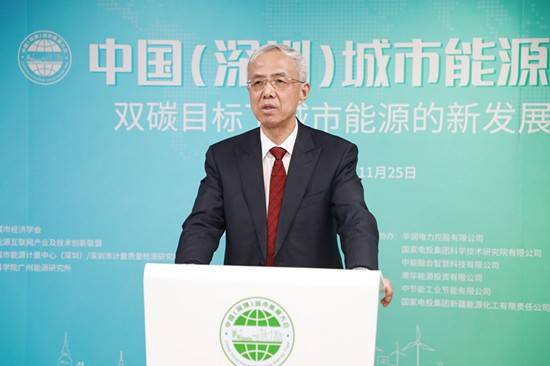 國(guó)家能源局原副局長(zhǎng)張玉清：城市是能源供應(yīng)和消