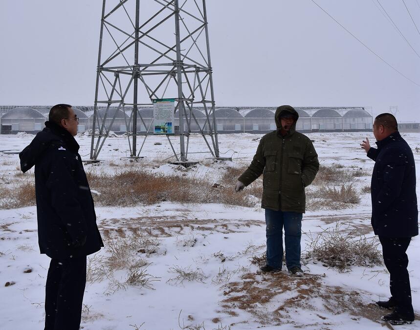 二連浩特供電公司：開展客戶側(cè)安全檢查，確?？诎犊蛻粝楹兔髁吝^春節(jié)