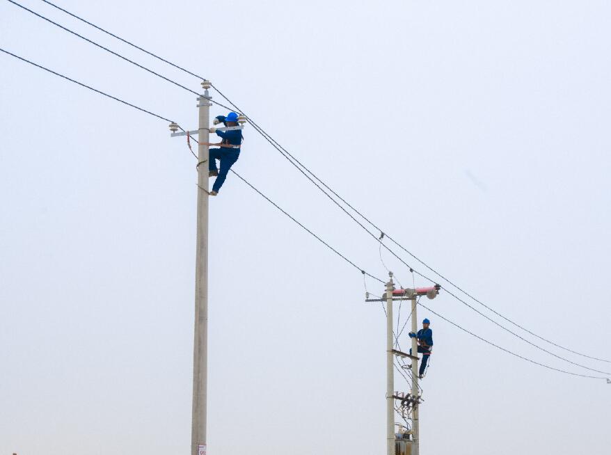 阿拉善供電公司：電網(wǎng)健康“體檢”，從登桿開始