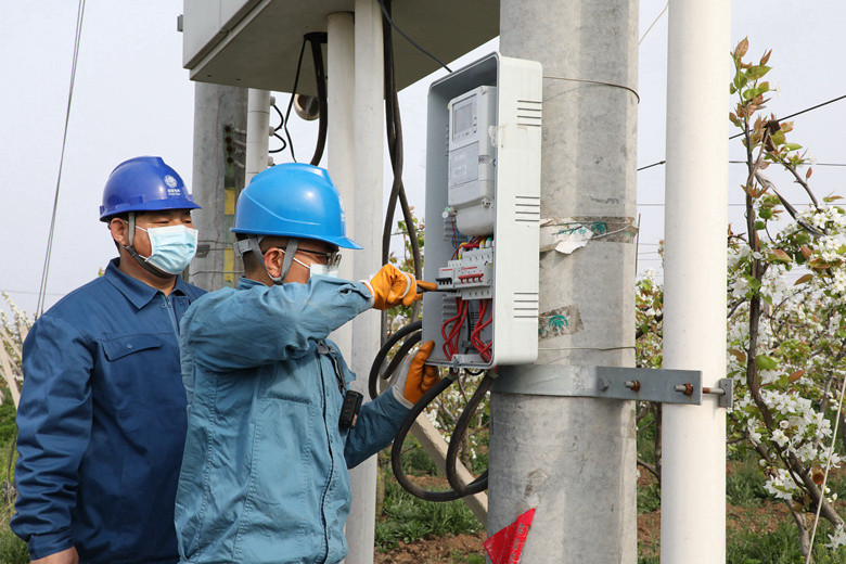 國(guó)網(wǎng)諸城市供電公司電力足，千畝梨園花正濃