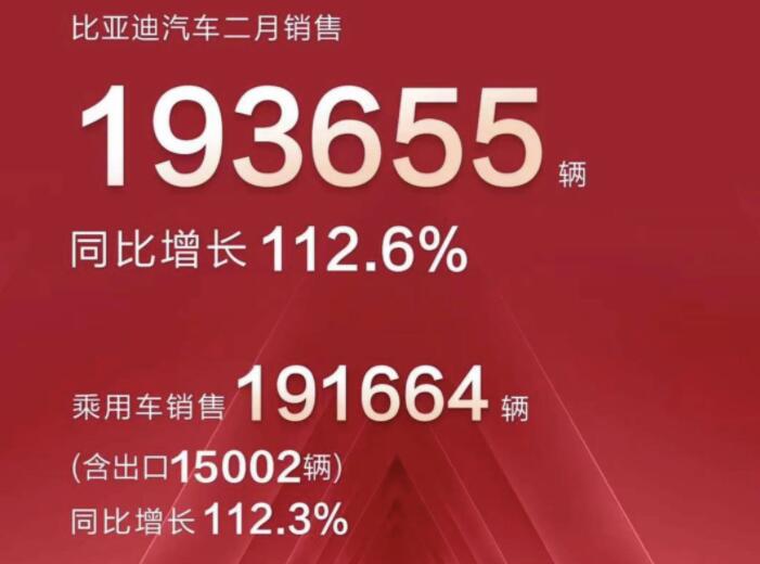 2月新能源車企成績(jī)單出爐，比亞迪一騎絕塵