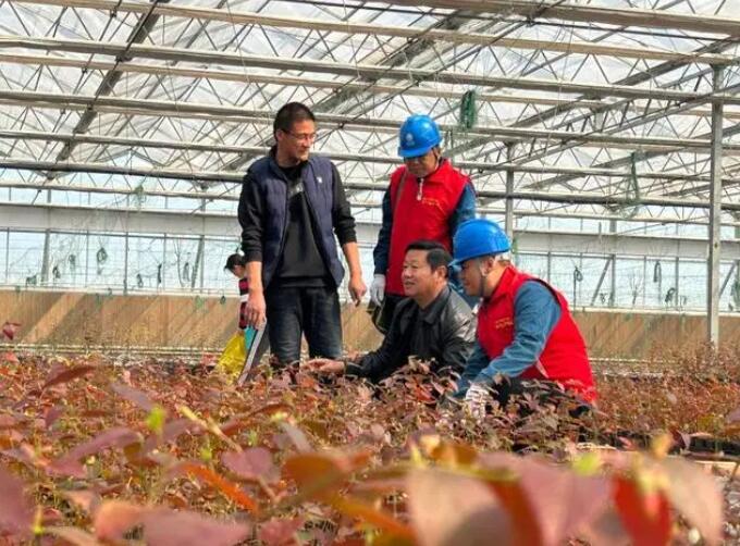 國網魚臺縣供電公司滿格電能助力農業(yè)基地致富增收