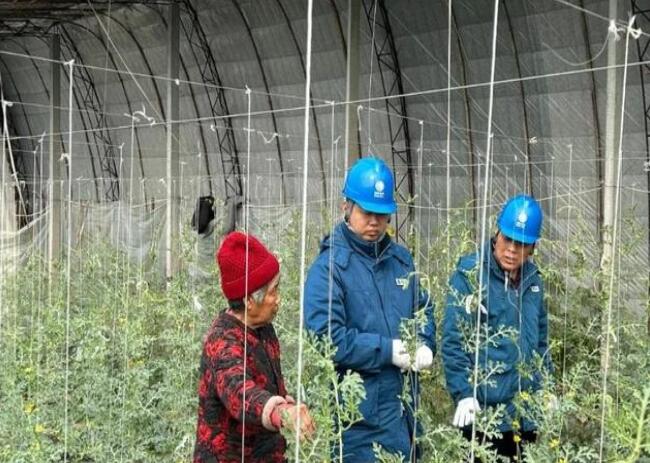 山東惠民供電公司：走訪種植大棚，優(yōu)化農(nóng)業(yè)營商環(huán)境