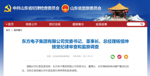 東方電子集團(tuán)有限公司黨委書記、董事長(zhǎng)、總經(jīng)理?xiàng)詈憷け徊椋? width=