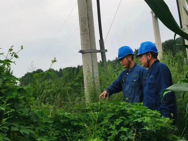 國網(wǎng)長春供電公司積極應對極端天氣，確保線路設備穩(wěn)定運行