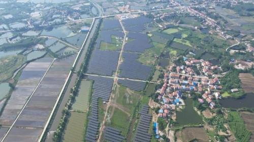 "正"在現場 | 走進湖北華電黃岡80MW農光互補光伏發(fā)電項目