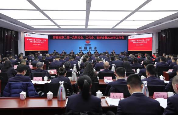 國能新疆能源召開二屆一次職代會、工代會、表彰會暨2025年工作會