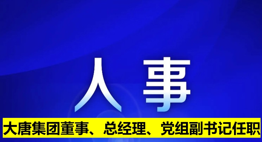 大唐集團(tuán)董事、總經(jīng)理、黨組副書記任職